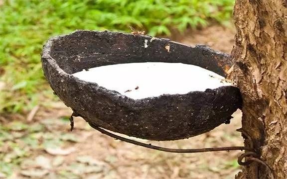 天然乳膠泡沫多是什么原因，有什么危害？