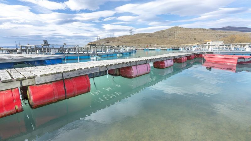 污水起泡沫，用什么方法去除泡沫？